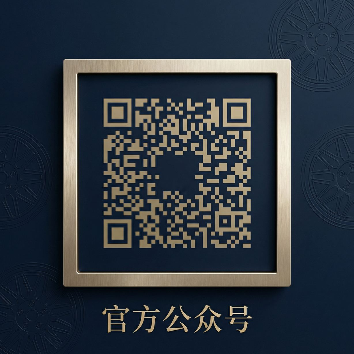 女神视频公众号